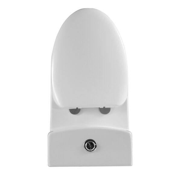 Wholesale CUP One Piece Toilet Dual Flush Standard Toilet for Bathroom WC Toilets